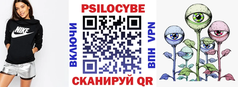 Псилоцибиновые грибы Psilocybine cubensis  Купить закладки  Кинель 